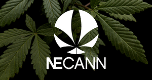 NECANN Rhode Island 2026